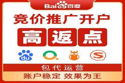 百度推广效果案例解析